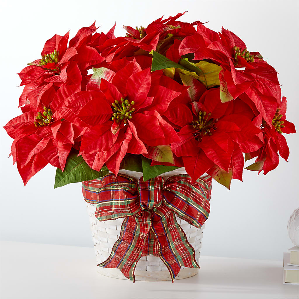 Happiest Holidays Poinsettia – VERL'S CREATION FLORIST, Dallas TX