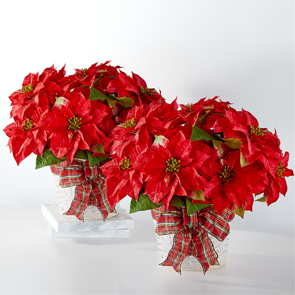 Happiest Holidays Poinsettia Bundle – VERL'S CREATION FLORIST, Dallas TX