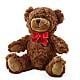 Adorable Plush Bear – VERL'S CREATION FLORIST, Dallas TX