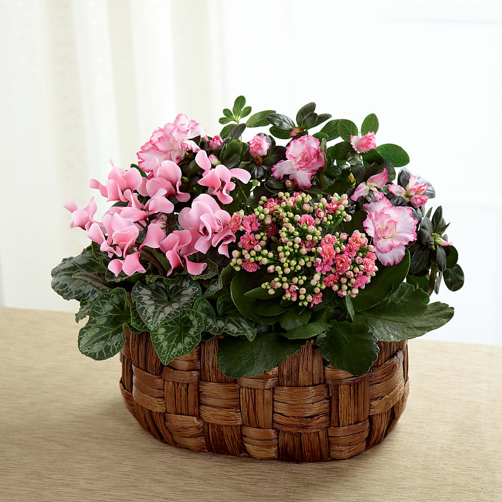 Pink Assortment – VERL'S CREATION FLORIST, Dallas TX