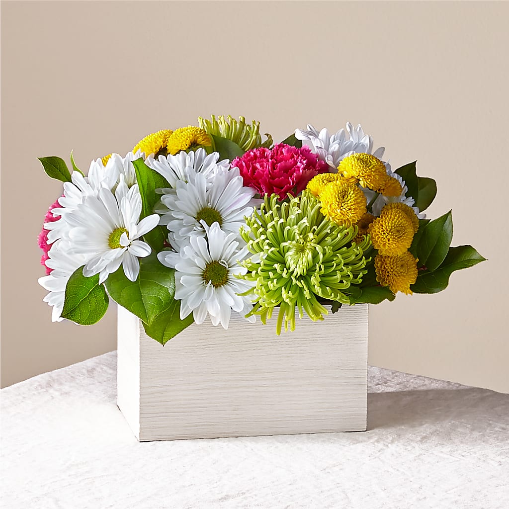 Sorbet Bouquet – VERL'S CREATION FLORIST, Dallas TX