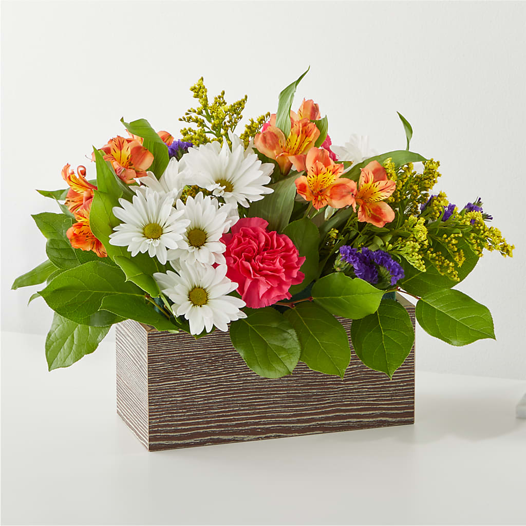 Oopsie Daisy Box Bouquet – VERL'S CREATION FLORIST, Dallas TX