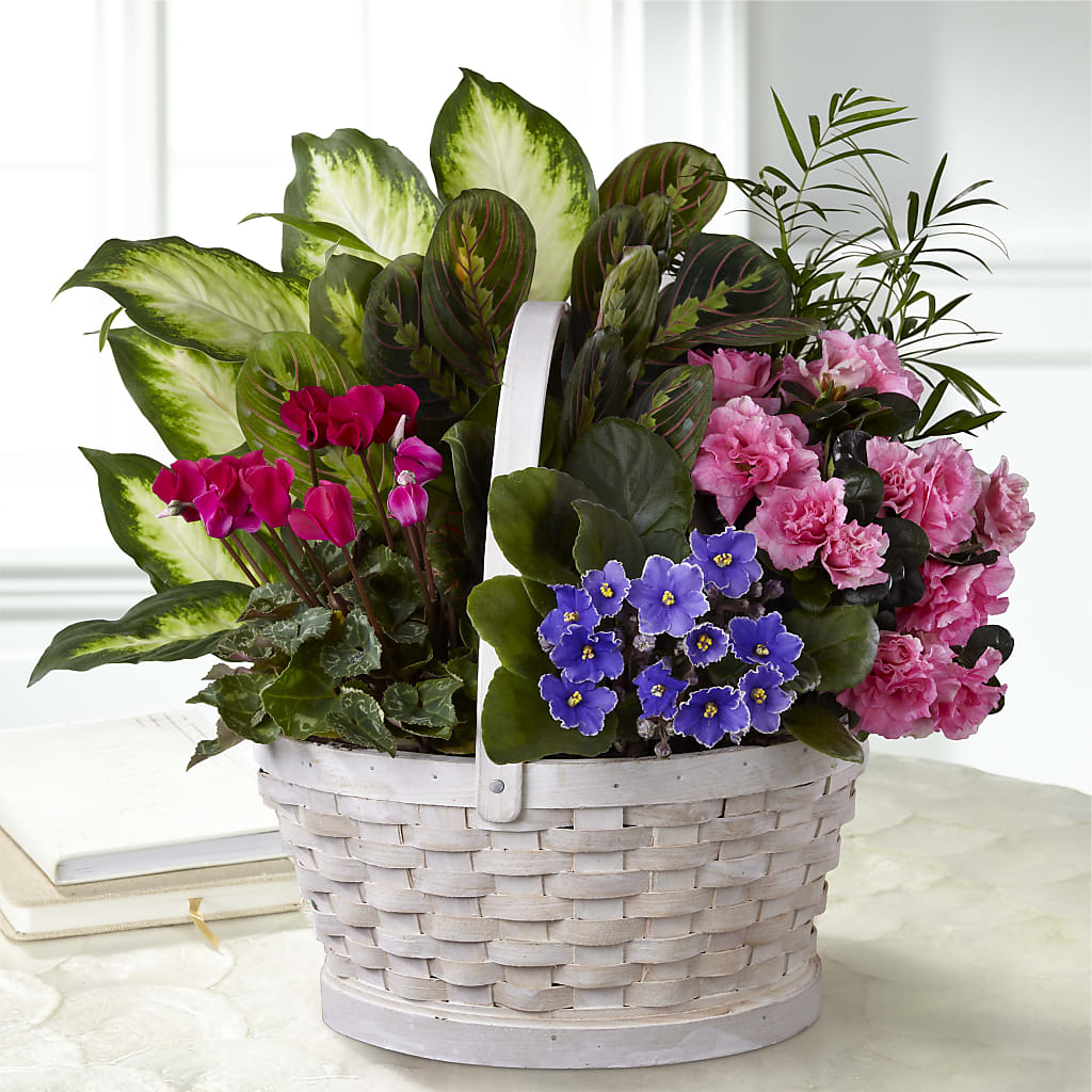 Peaceful Garden Planter – VERL'S CREATION FLORIST, Dallas TX
