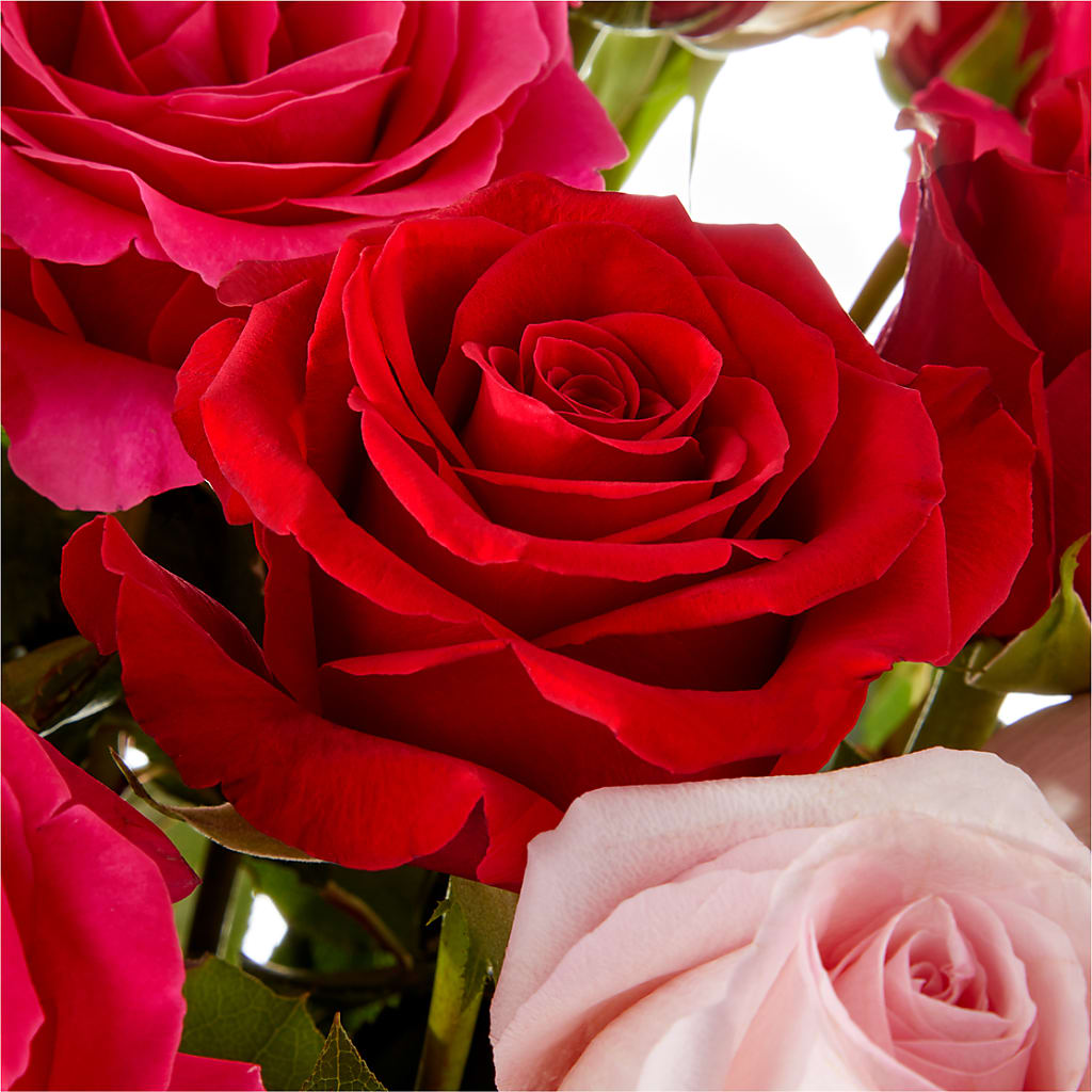 Love Notes Rose Bouquet – VERL'S CREATION FLORIST, Dallas TX
