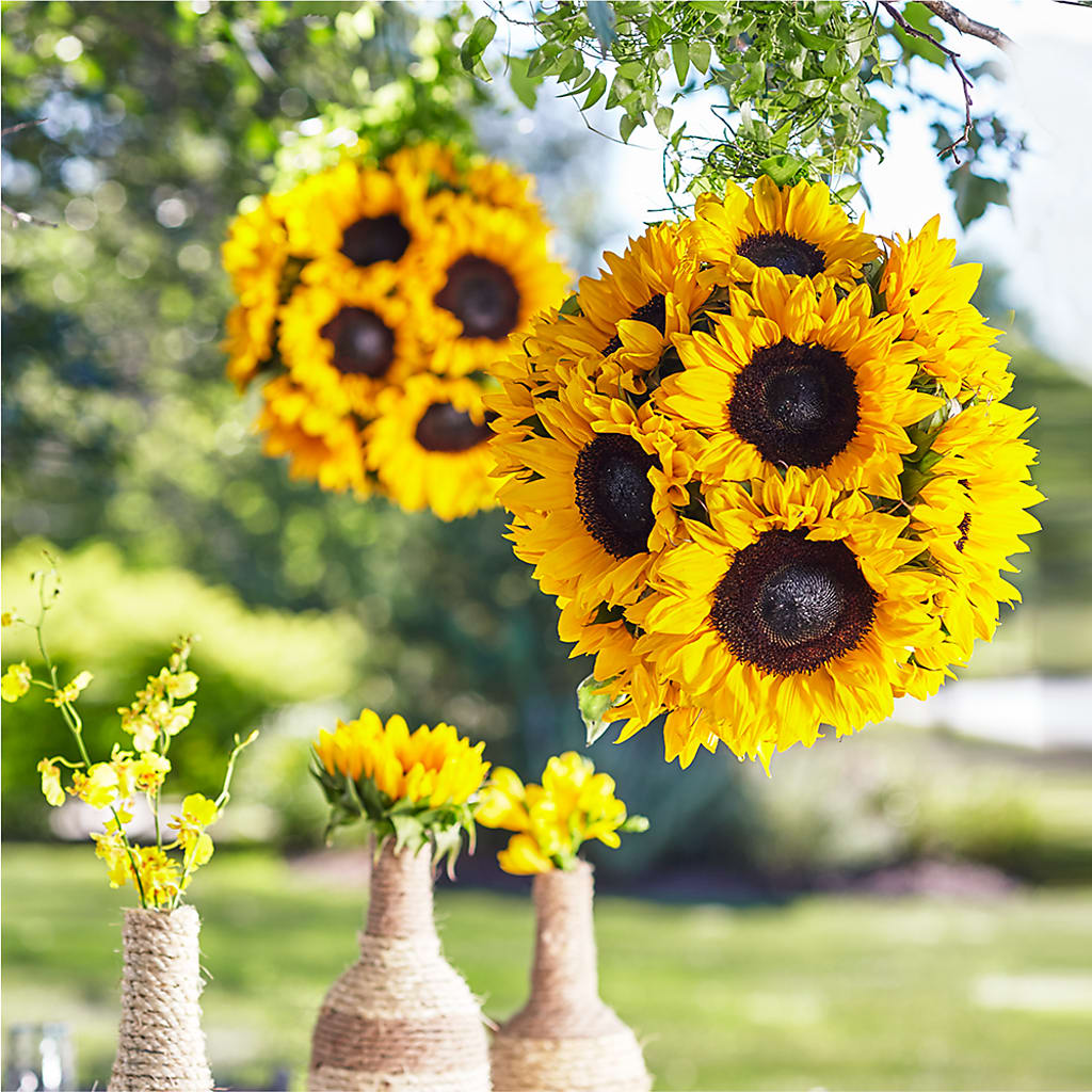 Sublime Garden Hanging Arrangement – VERL'S CREATION FLORIST, Dallas TX