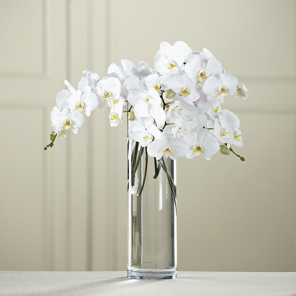 White Phalaenopsis Bouquet – VERL'S CREATION FLORIST, Dallas TX