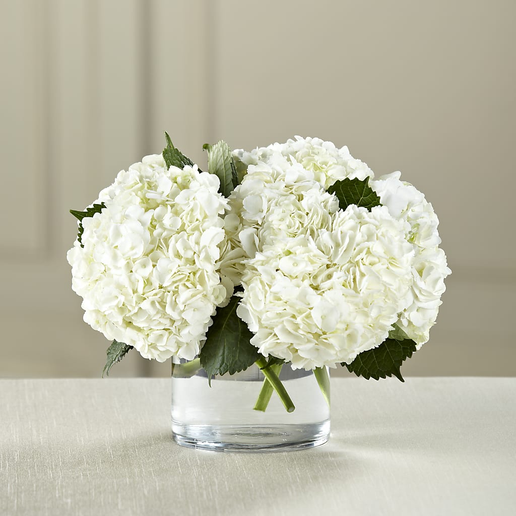 White Hydrangea Bouquet – VERL'S CREATION FLORIST, Dallas TX