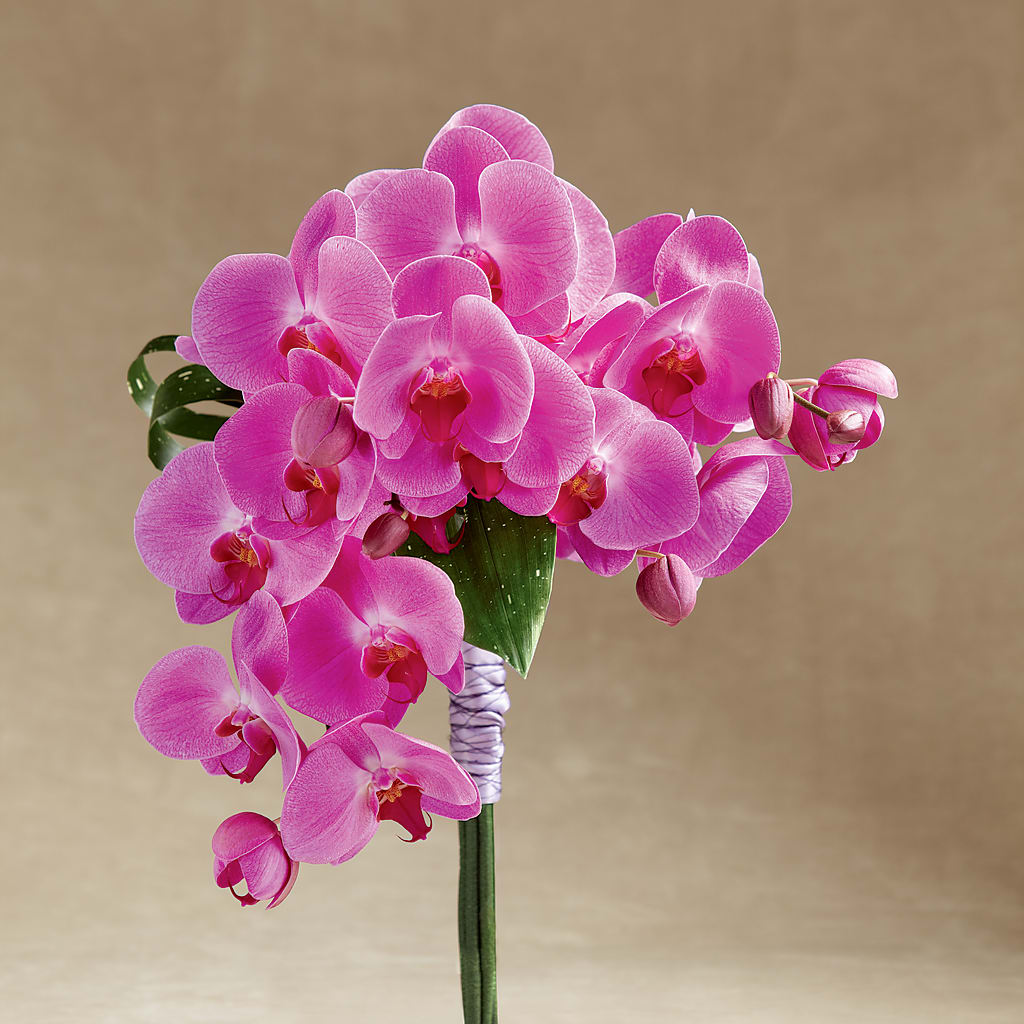 Glorious Bouquet – VERL'S CREATION FLORIST, Dallas TX