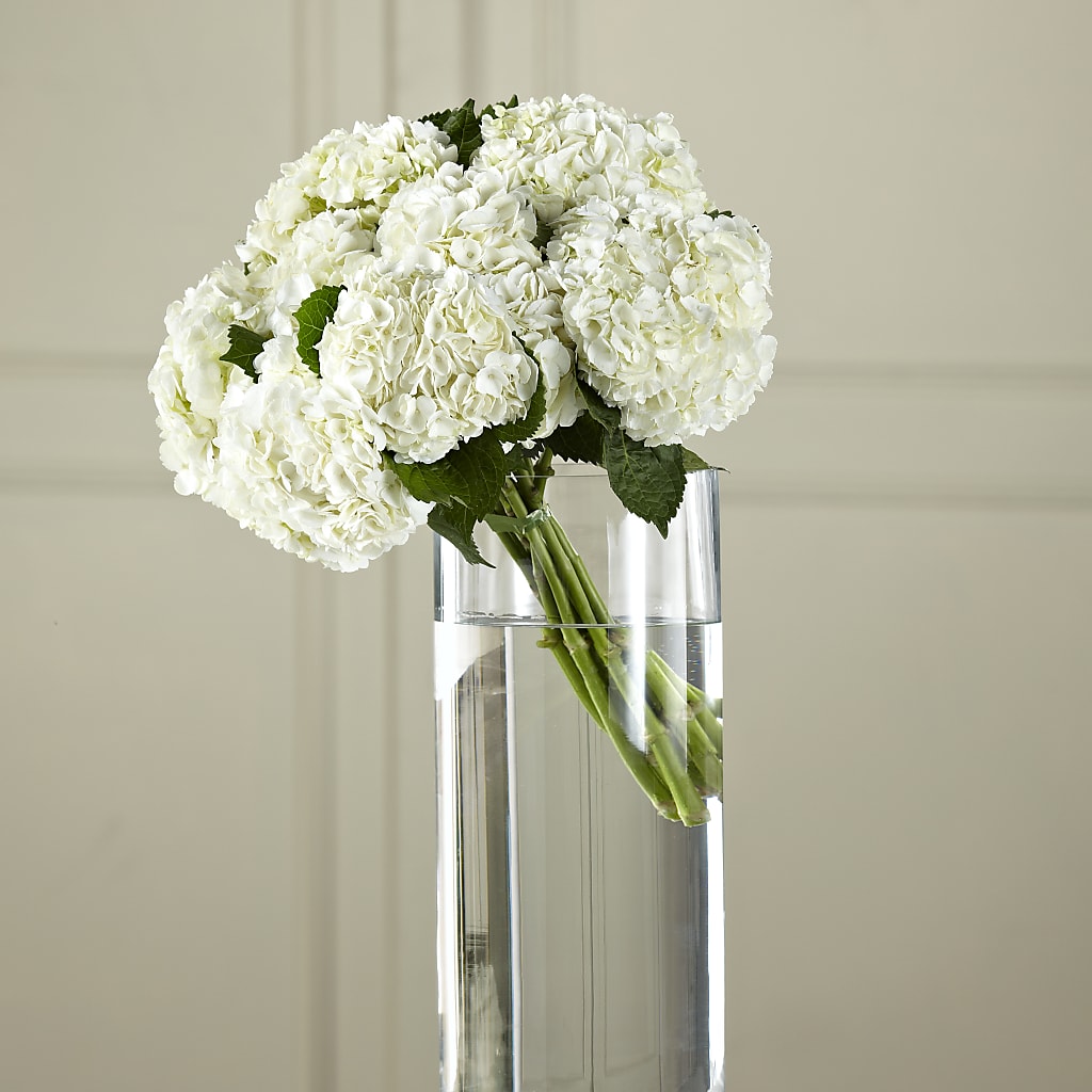 White Hydrangea Hand-Tied Bouquet – VERL'S CREATION FLORIST, Dallas TX