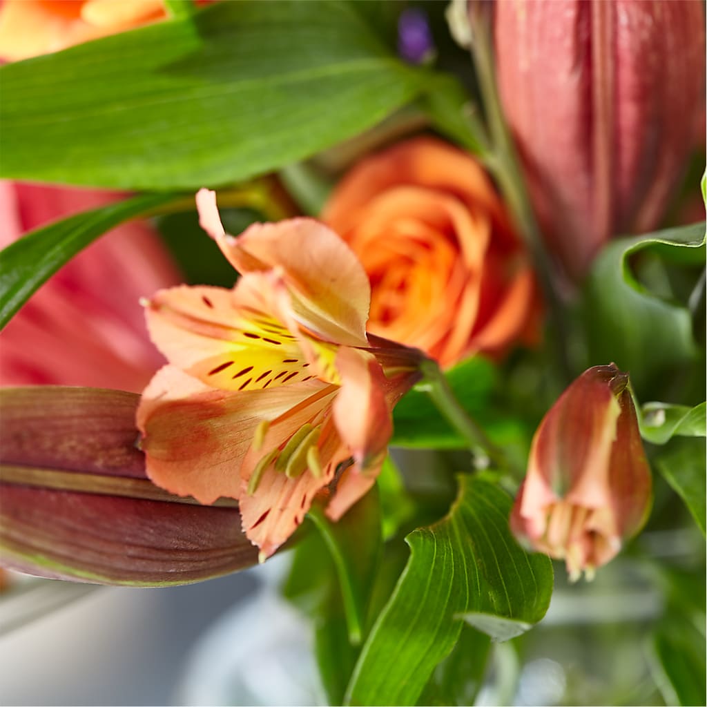 Bold & Bright – A Florist Original – VERL'S CREATION FLORIST, Dallas TX