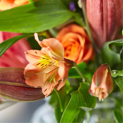 Bold & Bright – A Florist Original – VERL'S CREATION FLORIST, Dallas TX