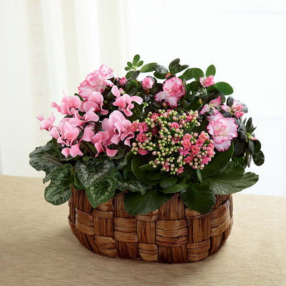 Pink Assortment – VERL'S CREATION FLORIST, Dallas TX