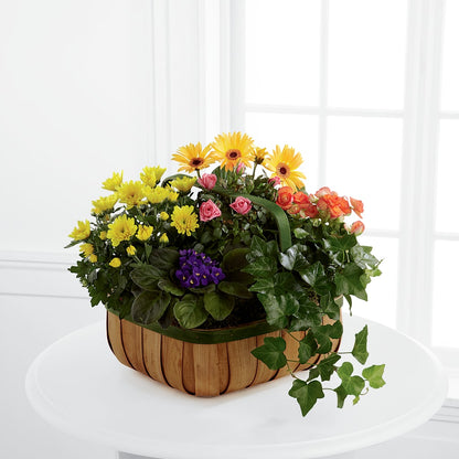 Gentle Blossoms Basket – VERL'S CREATION FLORIST, Dallas TX
