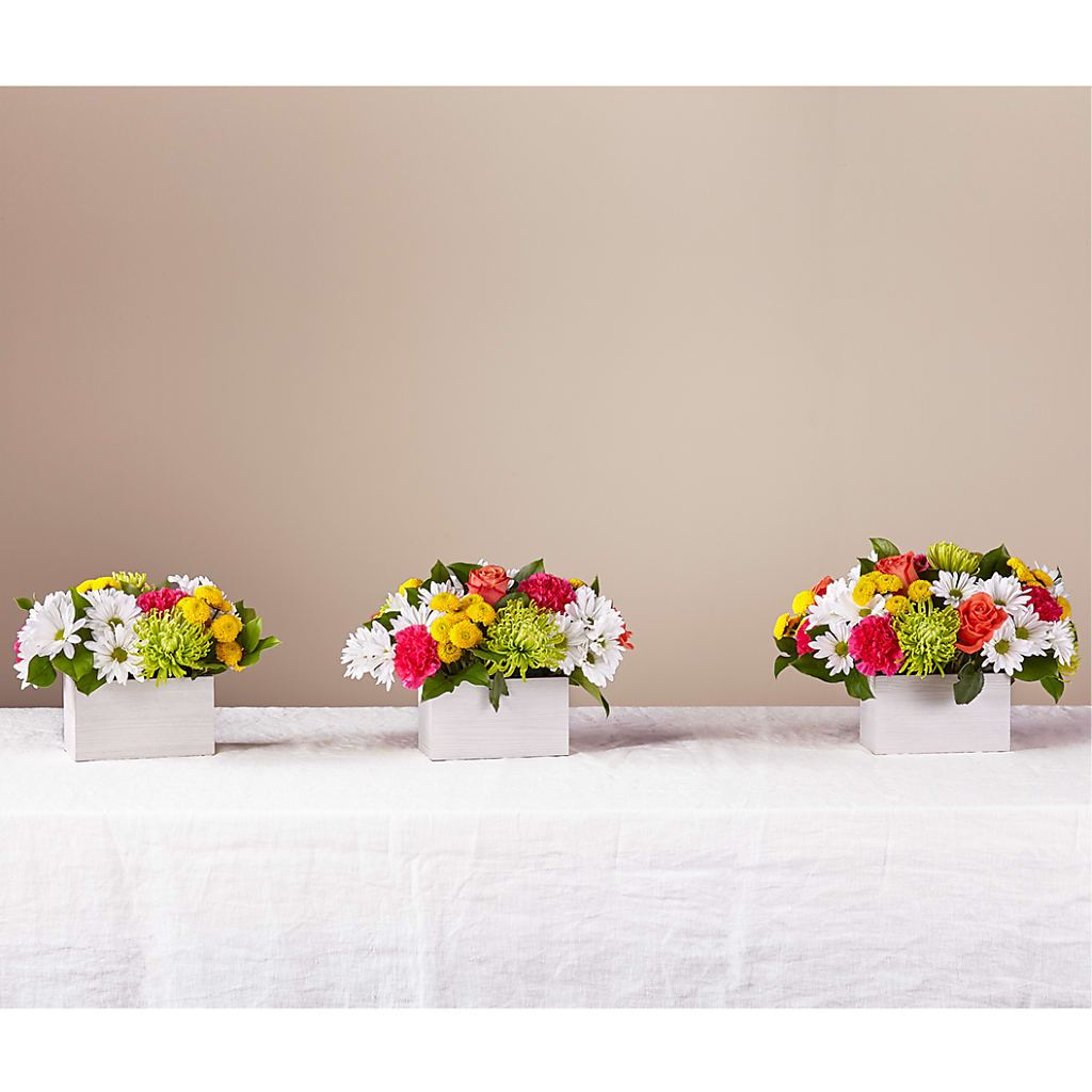 Sorbet Bouquet – VERL'S CREATION FLORIST, Dallas TX