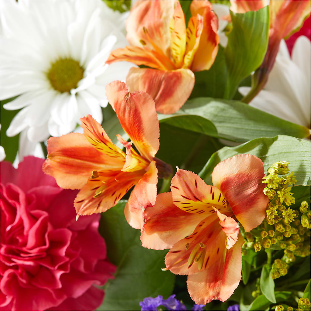 Oopsie Daisy Box Bouquet – VERL'S CREATION FLORIST, Dallas TX