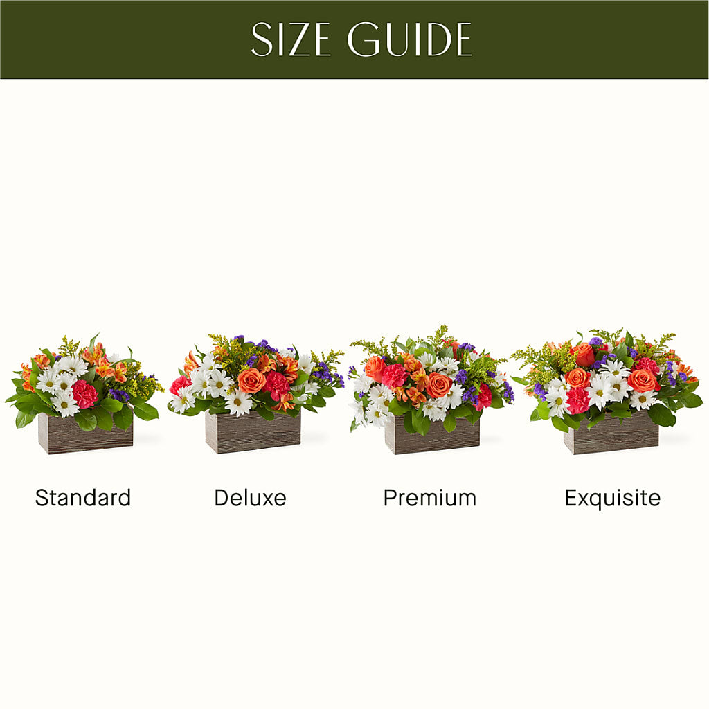 Oopsie Daisy Box Bouquet – VERL'S CREATION FLORIST, Dallas TX