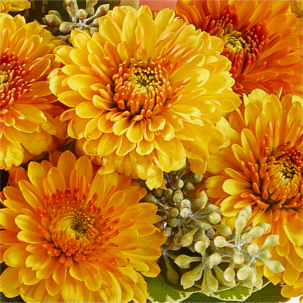 Peachy Pumpkin – VERL'S CREATION FLORIST, Dallas TX