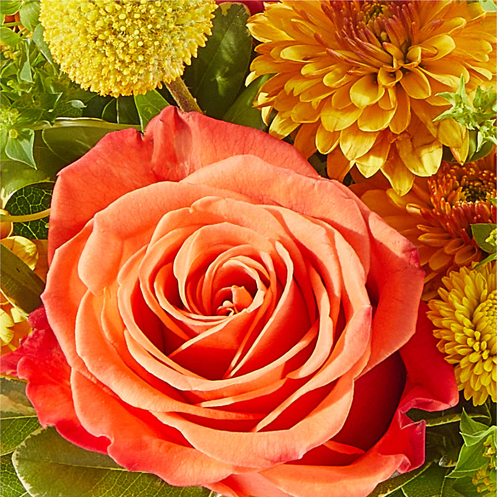 Gourdgeous Pumpkin – VERL'S CREATION FLORIST, Dallas TX