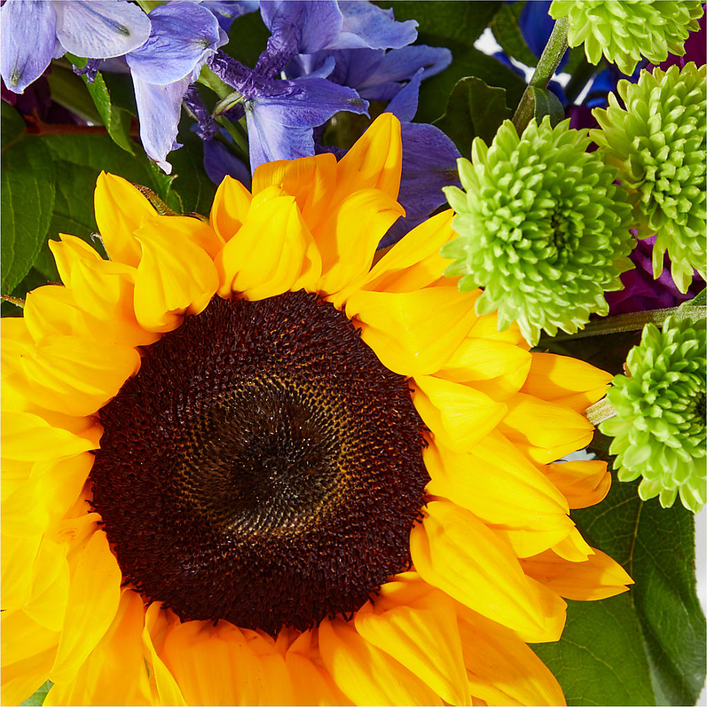 Catching Rays Bouquet – VERL'S CREATION FLORIST, Dallas TX