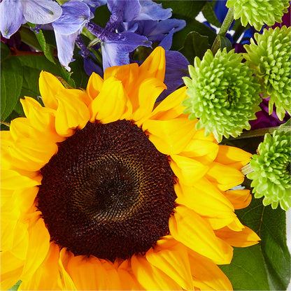 Catching Rays Bouquet – VERL'S CREATION FLORIST, Dallas TX