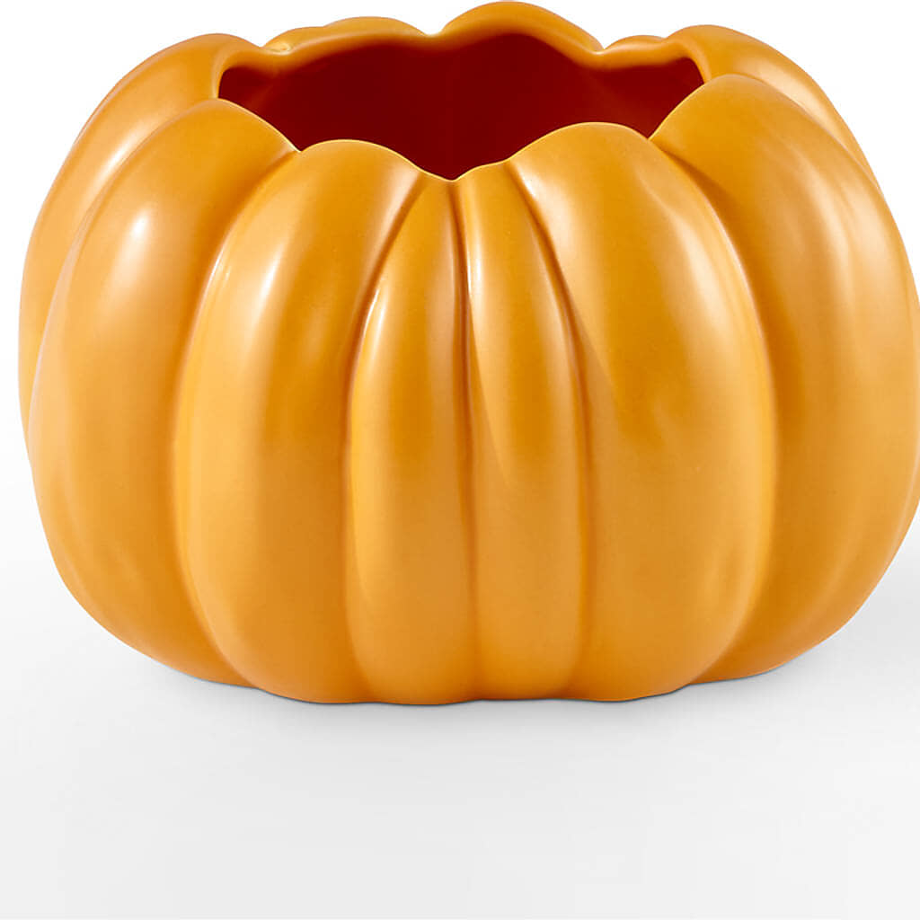 Golden Gourd Pumpkin Bouquet – VERL'S CREATION FLORIST, Dallas TX