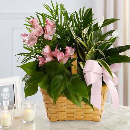 Living Spirit Dishgarden – VERL'S CREATION FLORIST, Dallas TX