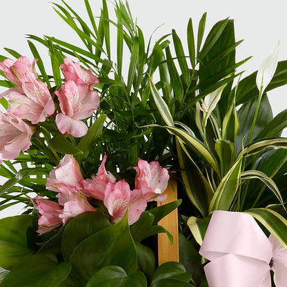 Living Spirit Dishgarden – VERL'S CREATION FLORIST, Dallas TX