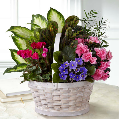 Peaceful Garden Planter – VERL'S CREATION FLORIST, Dallas TX