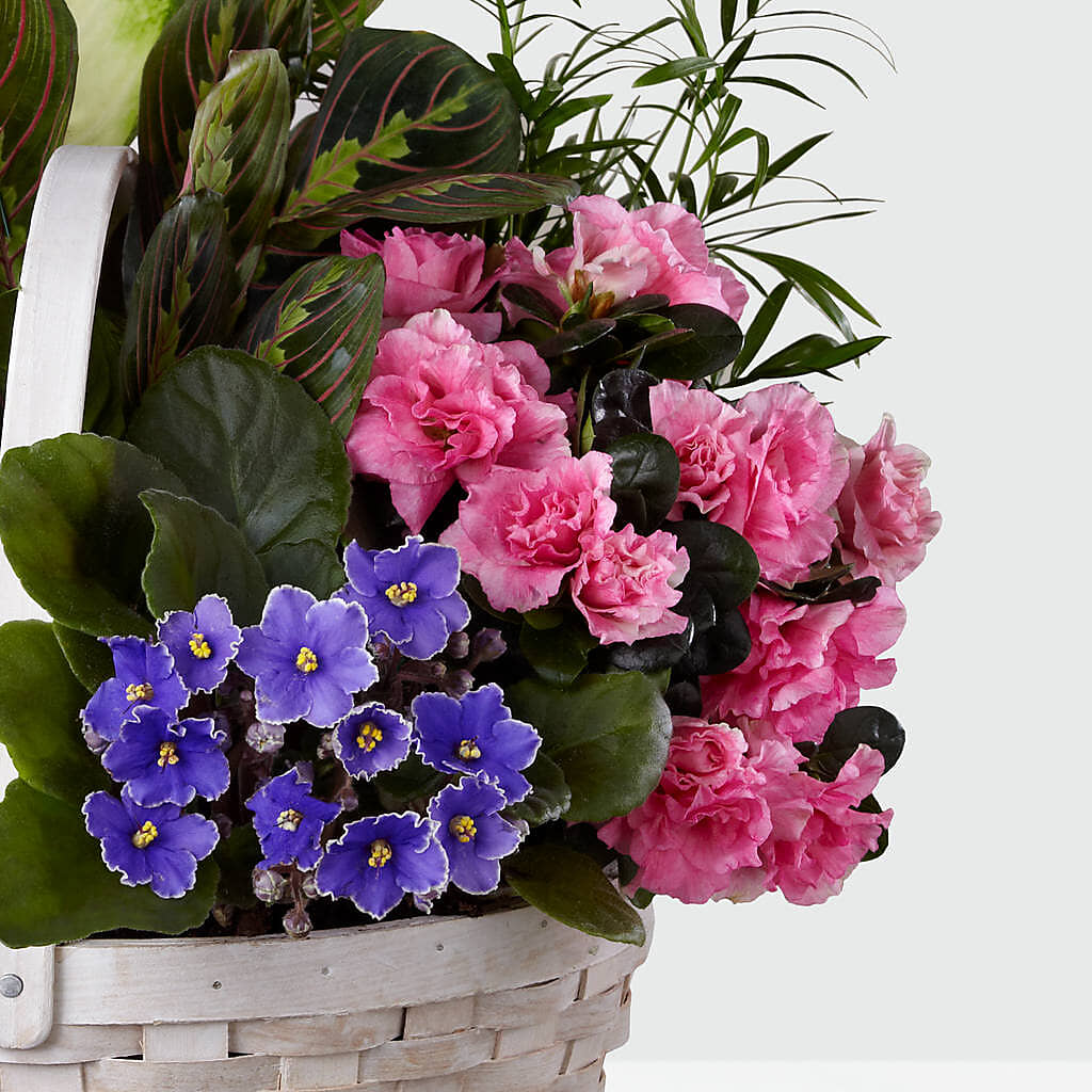 Peaceful Garden Planter – VERL'S CREATION FLORIST, Dallas TX