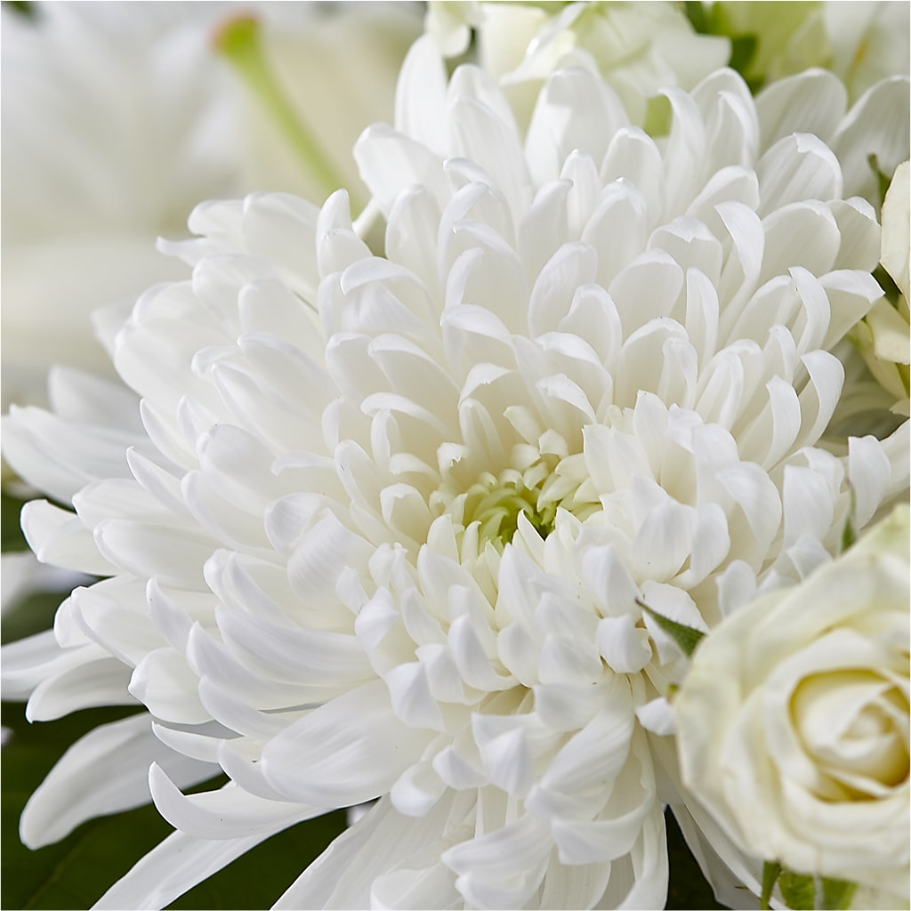 Classic Ivory – A Florist Original – VERL'S CREATION FLORIST, Dallas TX