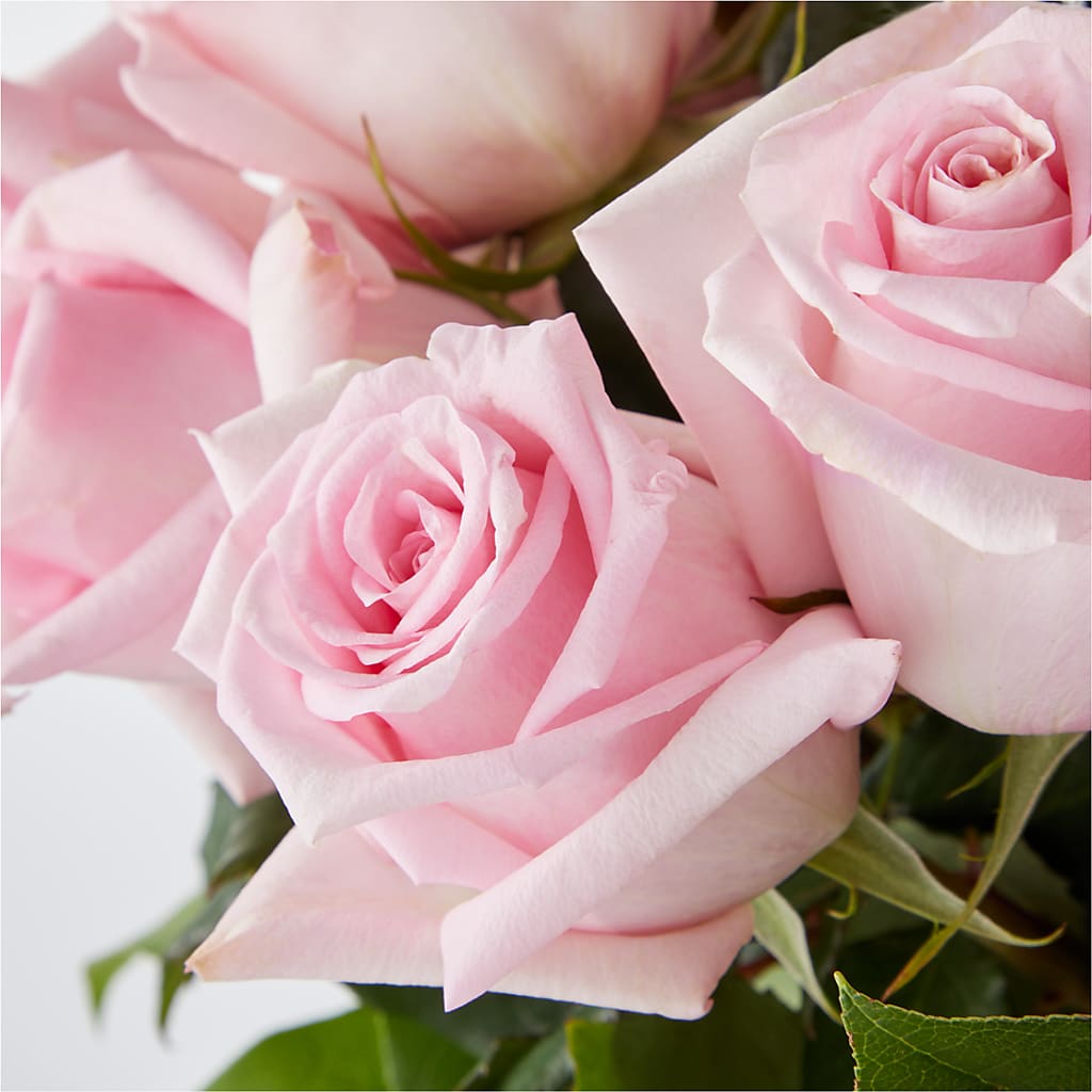 Picture Perfect Pink Rose Bouquet – VERL'S CREATION FLORIST, Dallas TX