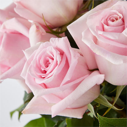 Picture Perfect Pink Rose Bouquet – VERL'S CREATION FLORIST, Dallas TX