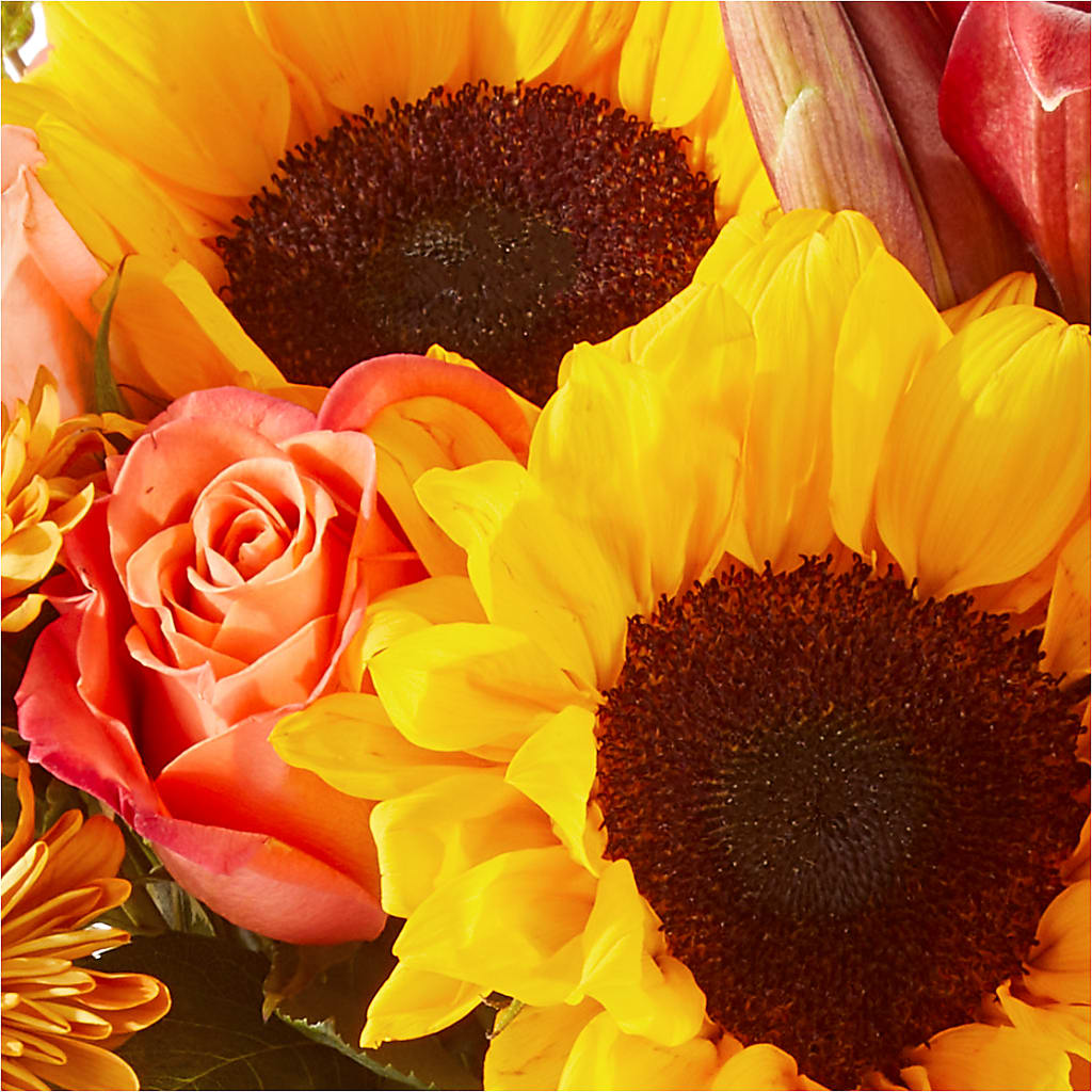 Acorn Lane Bouquet – VERL'S CREATION FLORIST, Dallas TX