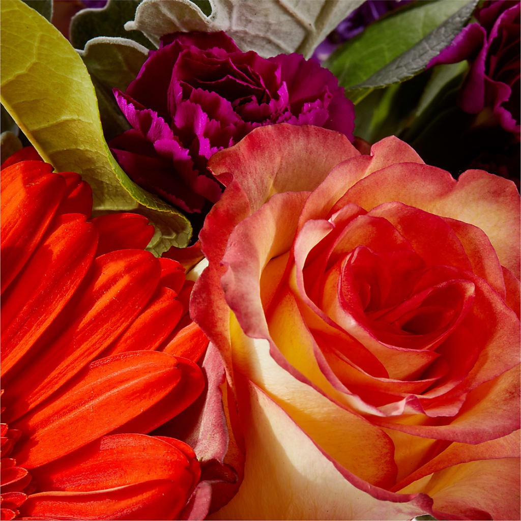 Sangria Bouquet – VERL'S CREATION FLORIST, Dallas TX