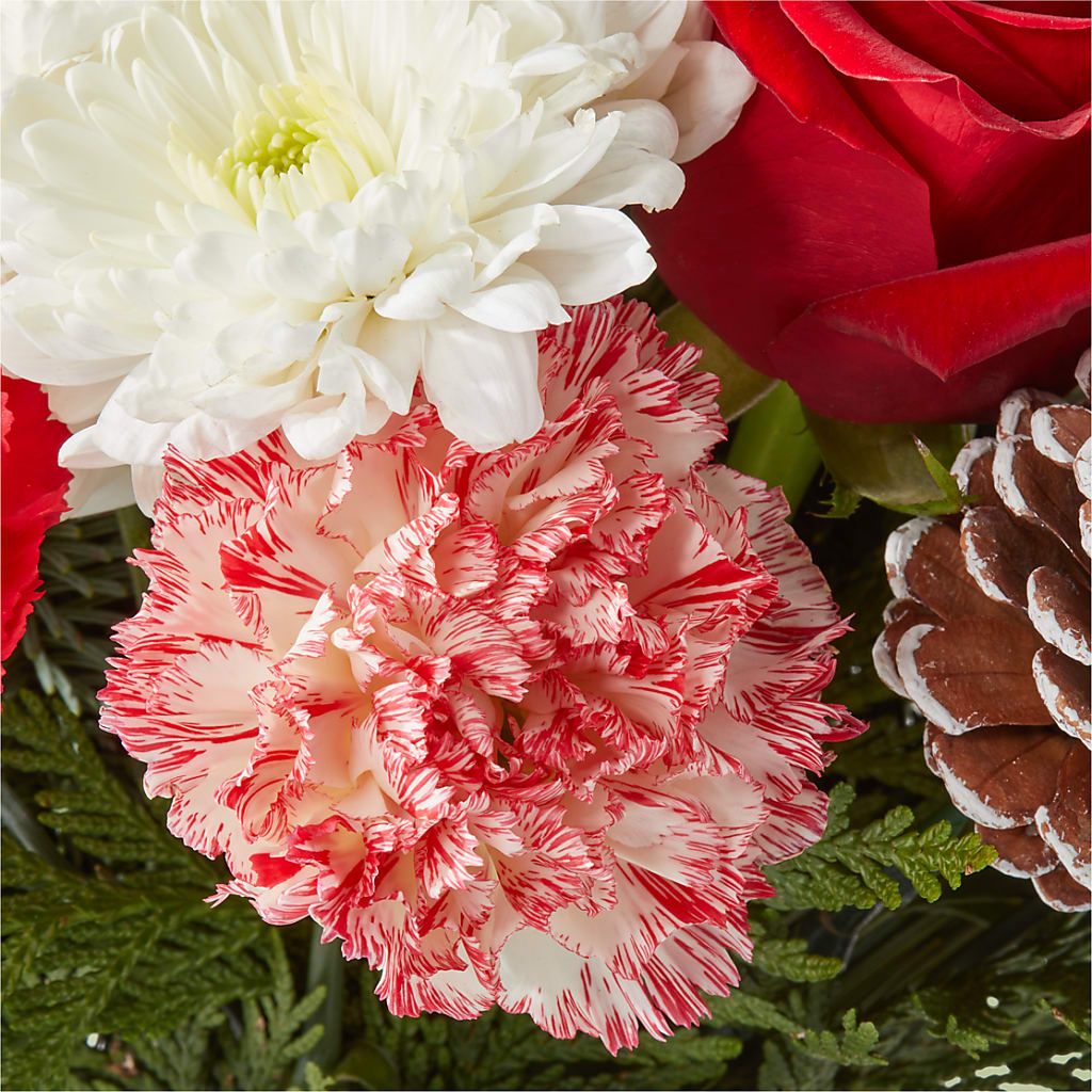 Candy Cane Lane Bouquet – VERL'S CREATION FLORIST, Dallas TX
