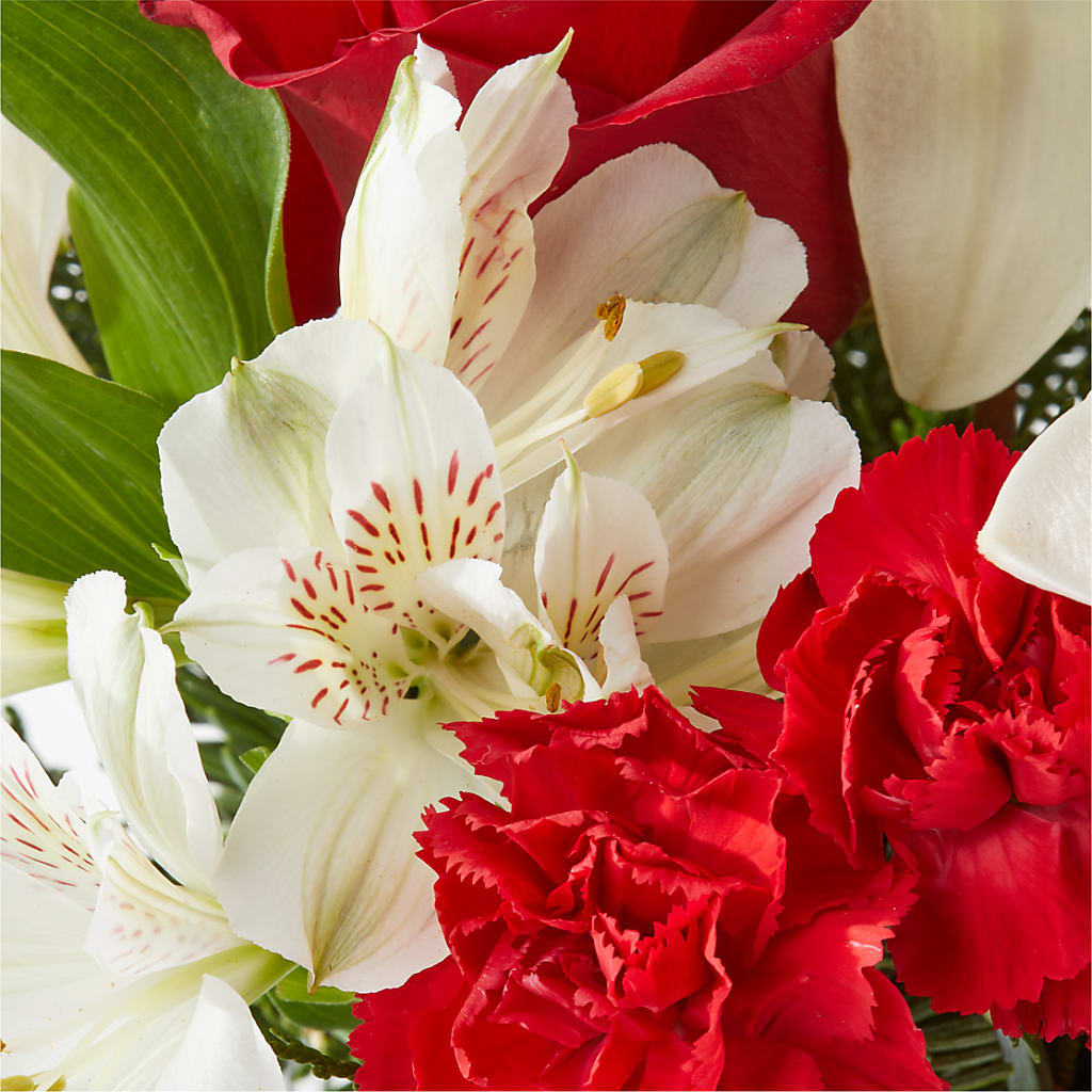 Holiday Season Bouquet – VERL'S CREATION FLORIST, Dallas TX