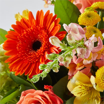 Autumn Sunshine Bouquet – VERL'S CREATION FLORIST, Dallas TX