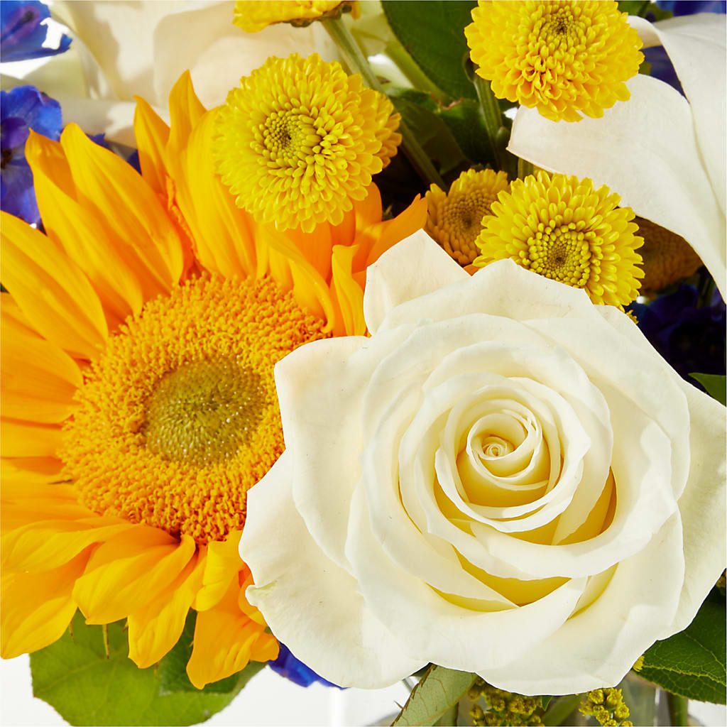 Stargazing Bouquet – VERL'S CREATION FLORIST, Dallas TX