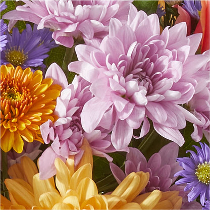Countryside Bouquet – VERL'S CREATION FLORIST, Dallas TX