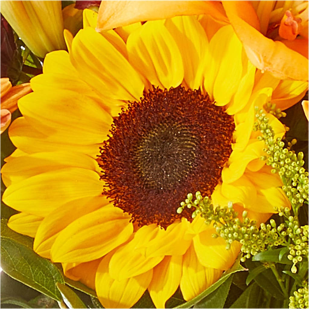 Seasons Change Bouquet – VERL'S CREATION FLORIST, Dallas TX