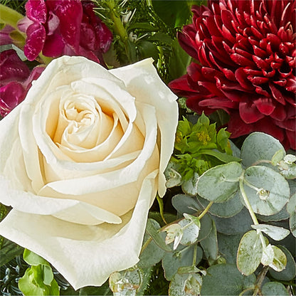 Cranberry Fizz Bouquet – VERL'S CREATION FLORIST, Dallas TX