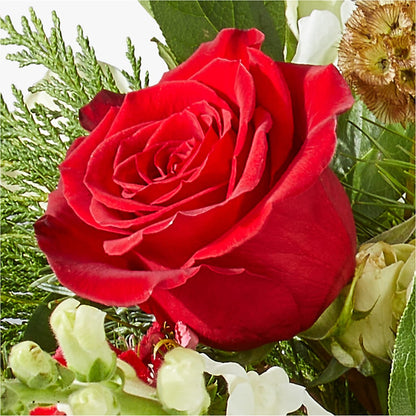 Deck the Halls Bouquet – VERL'S CREATION FLORIST, Dallas TX