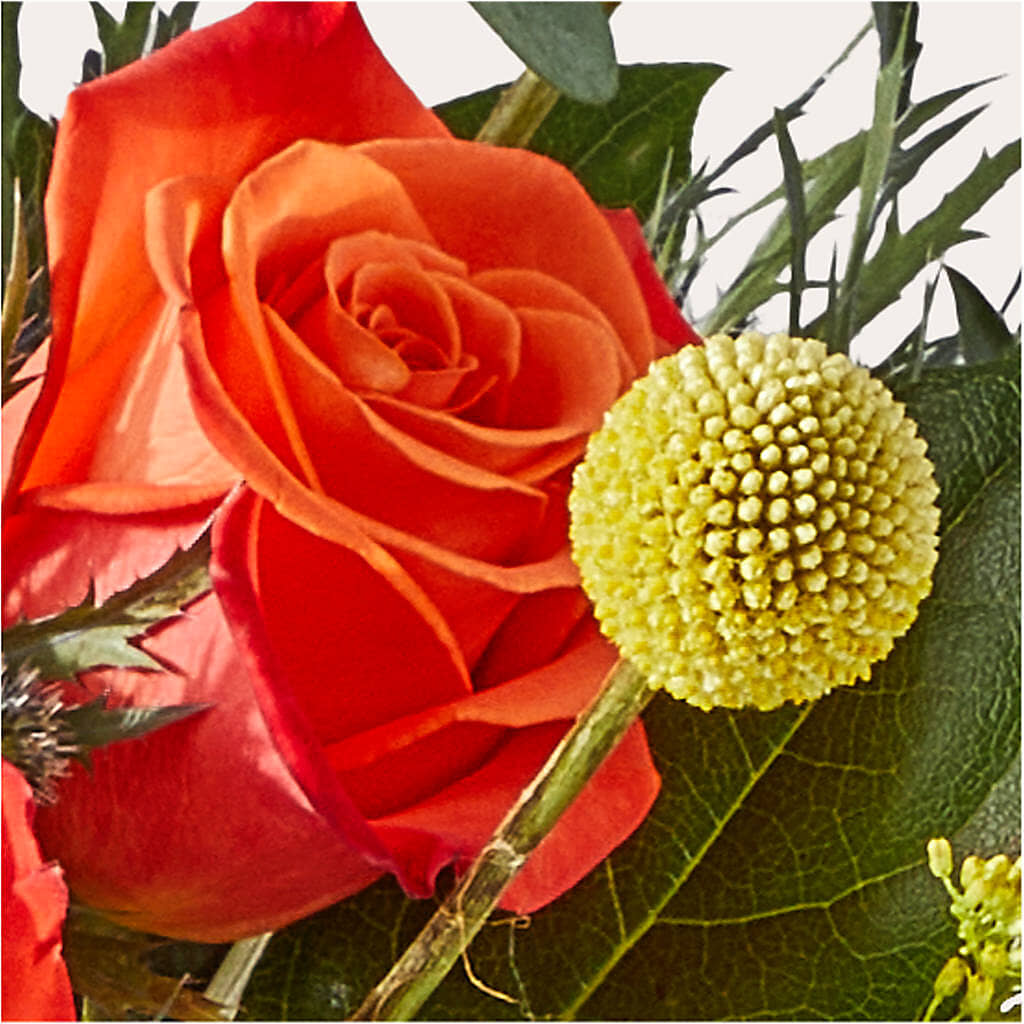 Disco Bouquet – VERL'S CREATION FLORIST, Dallas TX