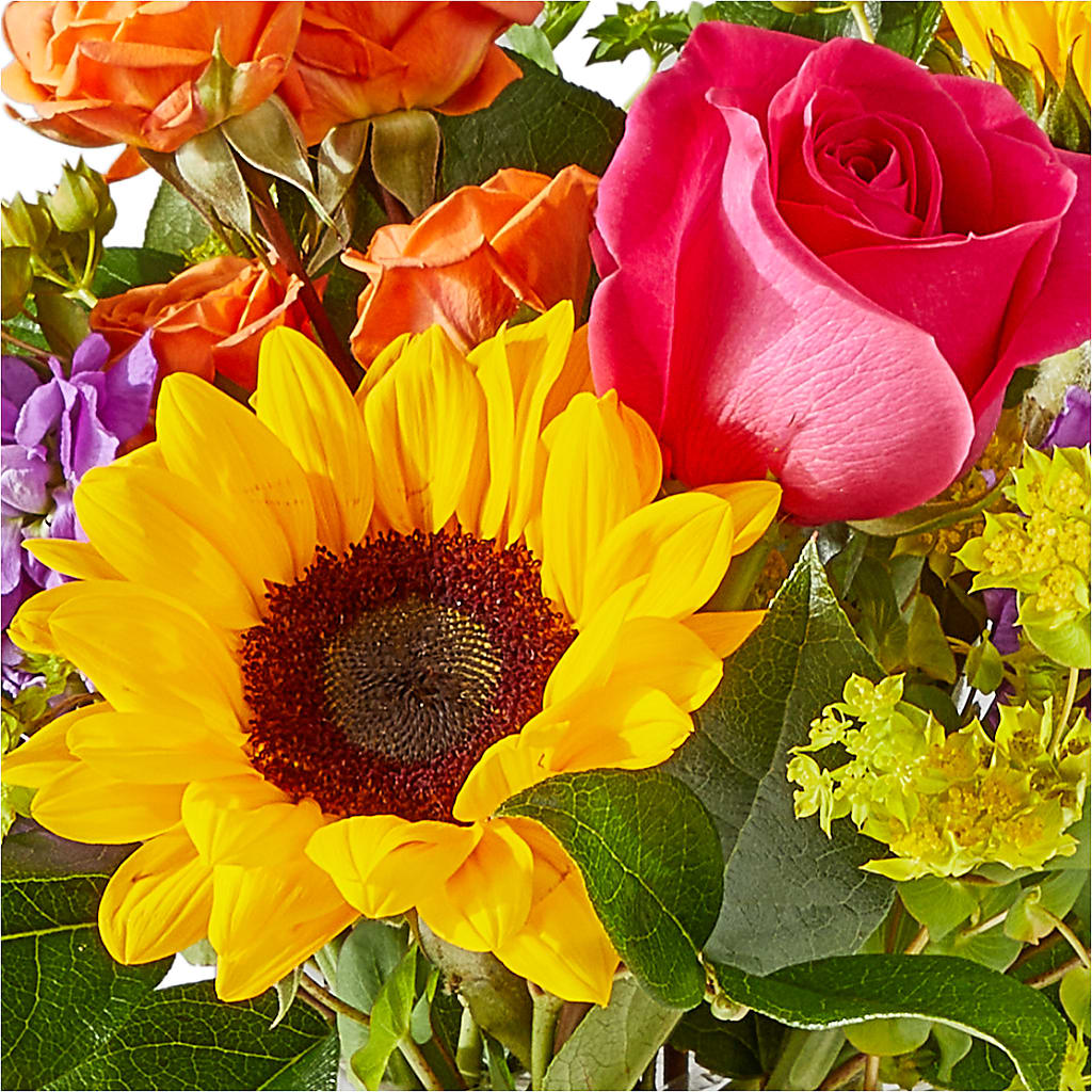 Vibrant Greetings Bouquet – VERL'S CREATION FLORIST, Dallas TX