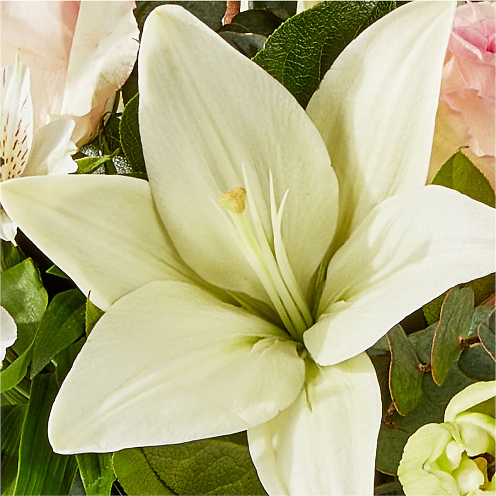 Ballet Slippers Bouquet – VERL'S CREATION FLORIST, Dallas TX