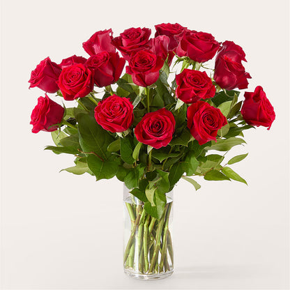 The One Red Rose Bouquet – VERL'S CREATION FLORIST, Dallas TX