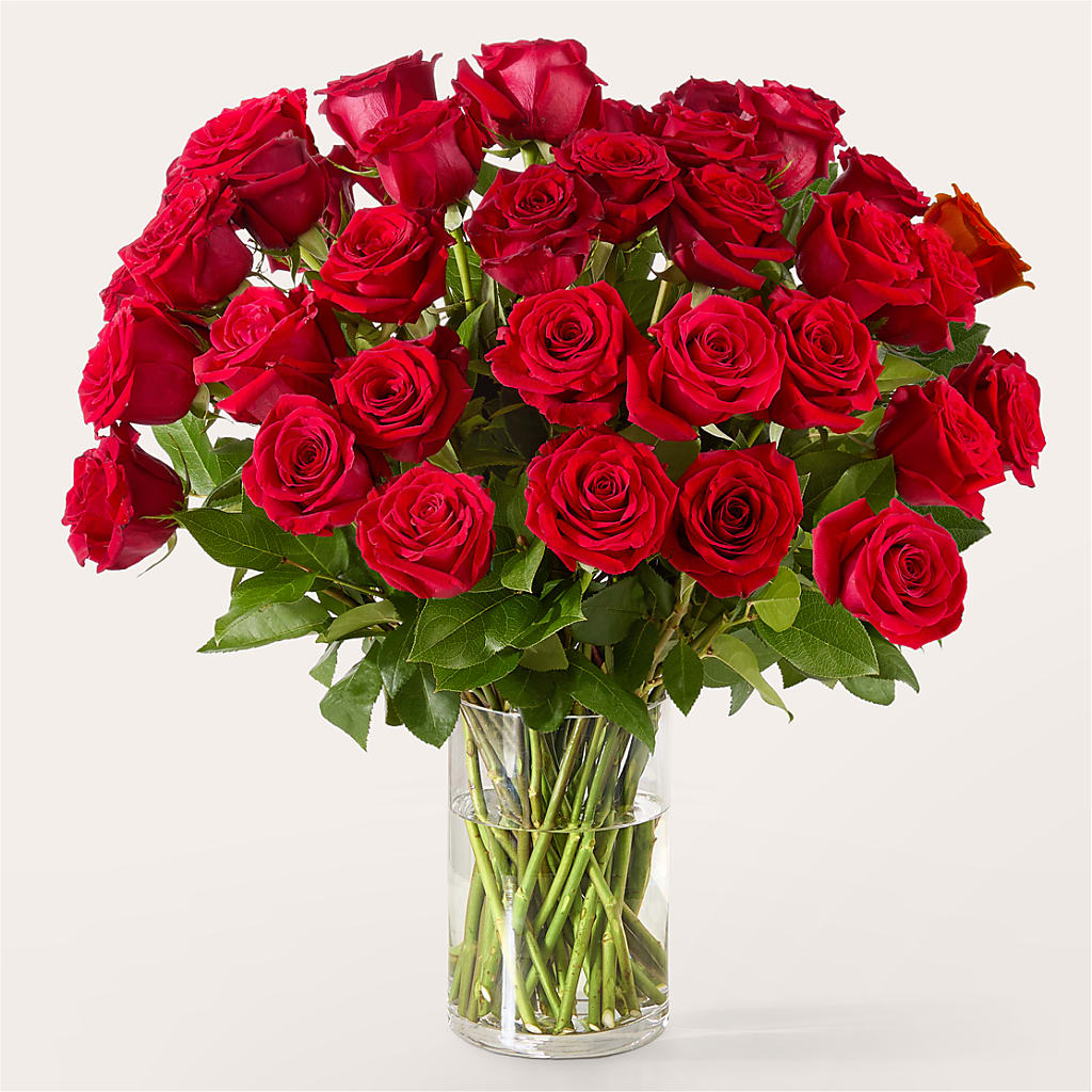 The One Red Rose Bouquet – VERL'S CREATION FLORIST, Dallas TX