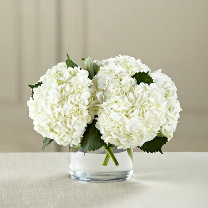 White Hydrangea Bouquet – VERL'S CREATION FLORIST, Dallas TX