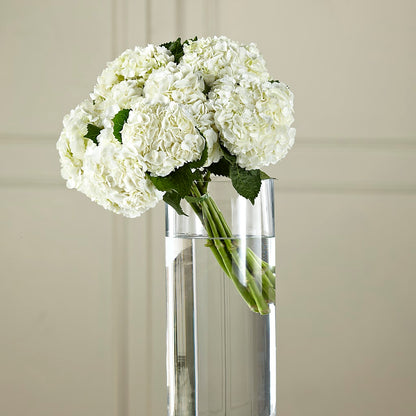 White Hydrangea Hand-Tied Bouquet – VERL'S CREATION FLORIST, Dallas TX